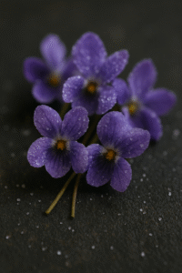 ויולט מסוכר